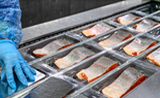 Холодильная камера для рыбы и морепродуктов 
